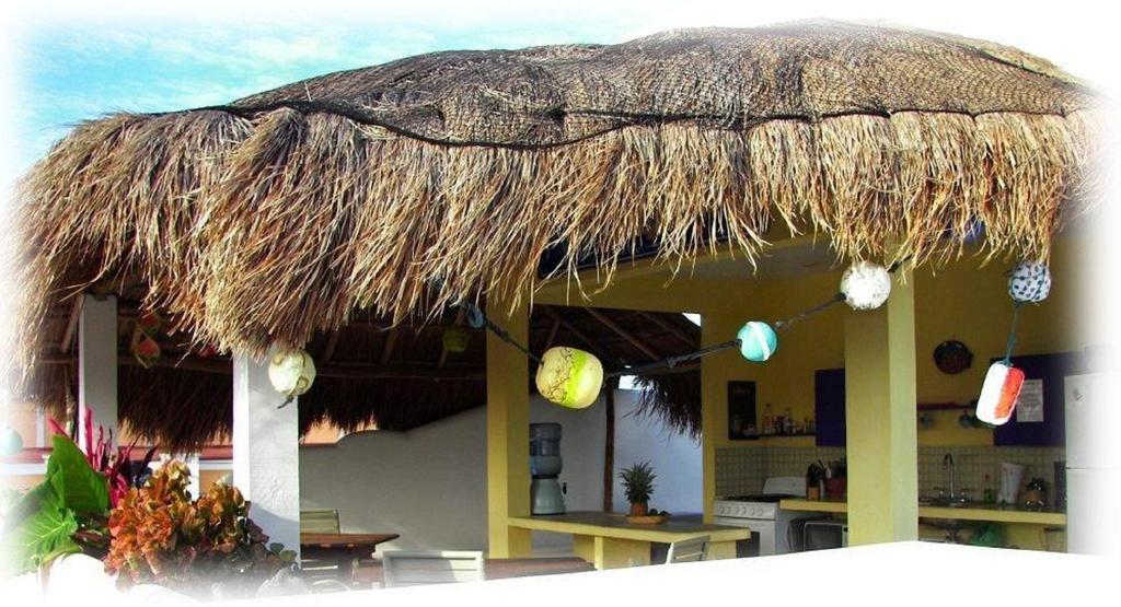 Coral Reef Inn Cozumel Extérieur photo