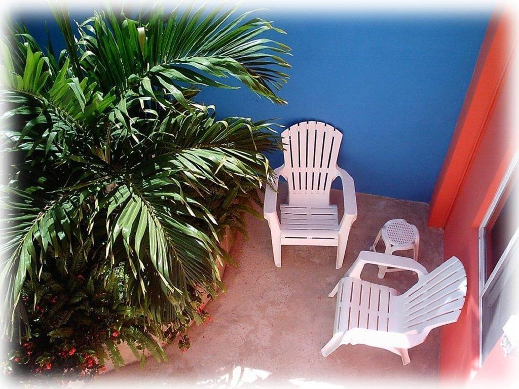 Coral Reef Inn Cozumel Extérieur photo